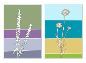 Blomsterkort | Illustrator, Photoshop